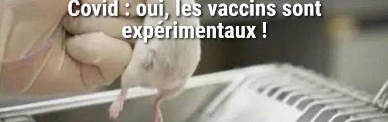Attached Image: Covid oui, les vaccins sont expérimentaux !.JPG